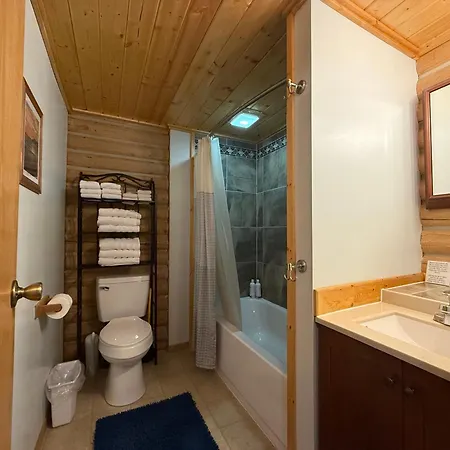 Talkeetna Log Cabin With Hot Tub Unit 1 Extérieur photo